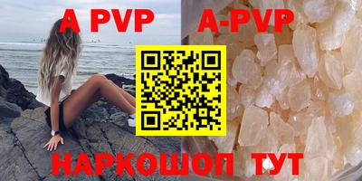 крисы Нальчик