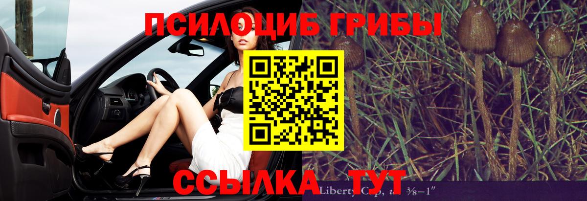Псилоцибиновые грибы ЛСД  Вход с VPN  Элиста 
