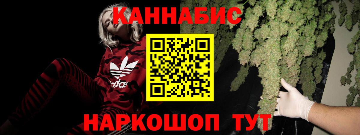 Элиста  Бошки марихуана конопля  Вход с VPN  Конопля White Widow  Бошки Шишки ГИДРОПОН 